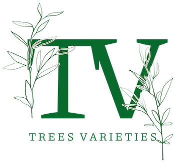 Trees Varieties logo