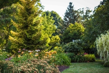 blog image Eco-Friendly Landscaping: Creating a Sustainable Garden with Trees