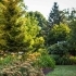 Eco-Friendly Landscaping: Creating a Sustainable Garden with Trees related image